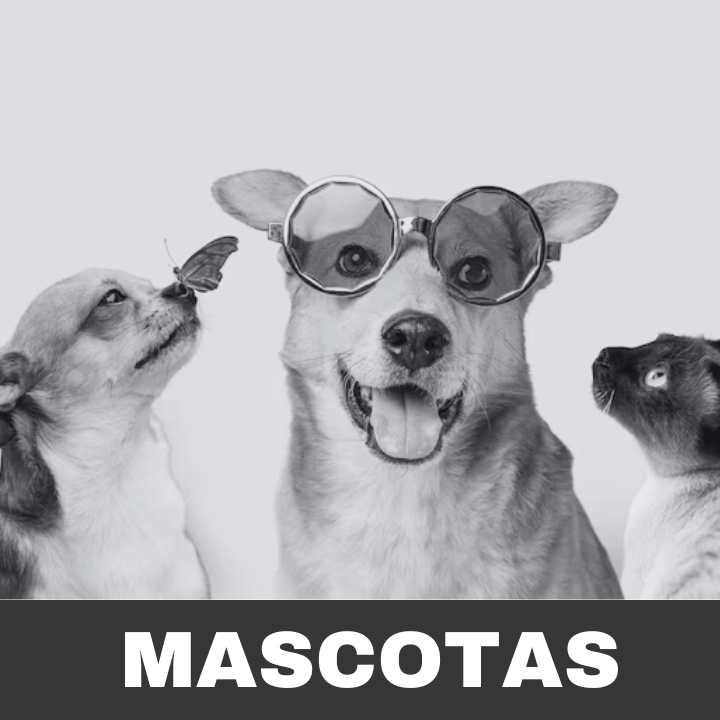 MASCOTAS